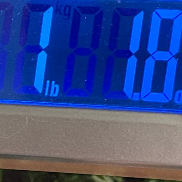 Vintage Warner Brothers Womens Cardigan Sweater Small Green 100% Wool Pockets - Picture 12 of 12